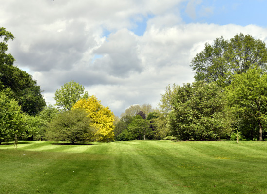 amenagement de jardin