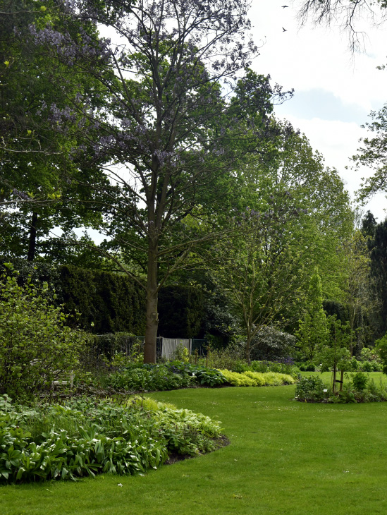 plantations et arbres