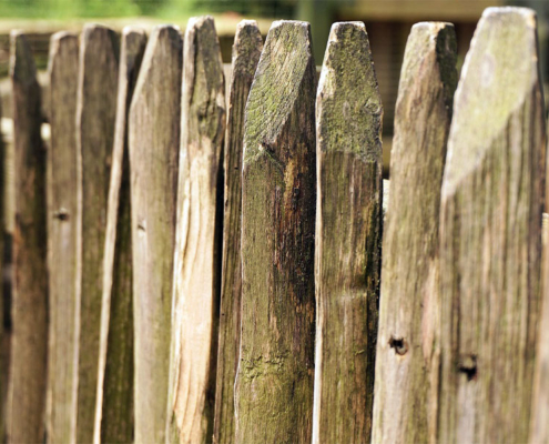 palissade en bois