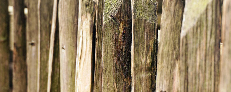 palissade en bois