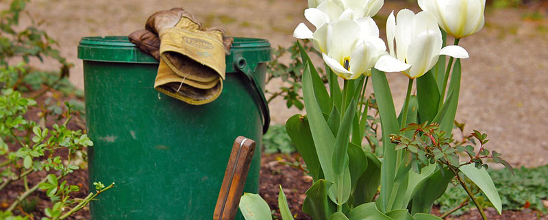 sol de jardinage avec outil planté, seau et fleurs