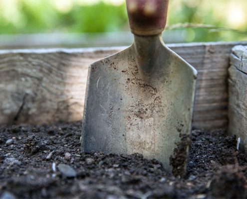 bêche planté dans terre